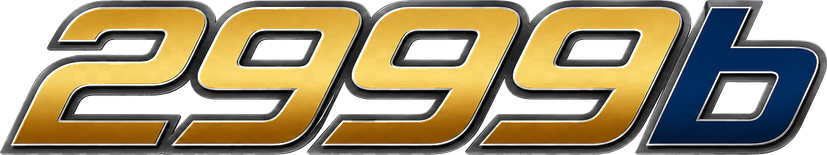 2999b Logo